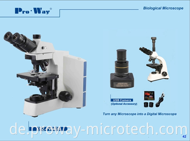 Professioneller Trinokularverbindung Siedentopf biologisches Mikroskop (XSZ-PW408)